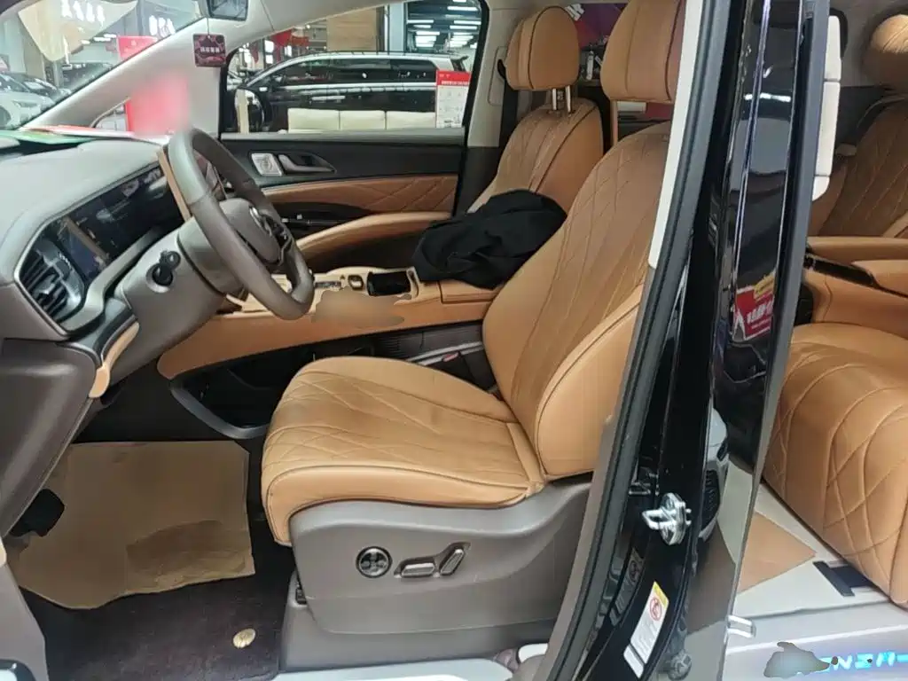 Denza Denza D9 — миниатюра 15