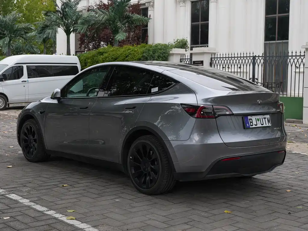 Tesla Model Y — миниатюра 7