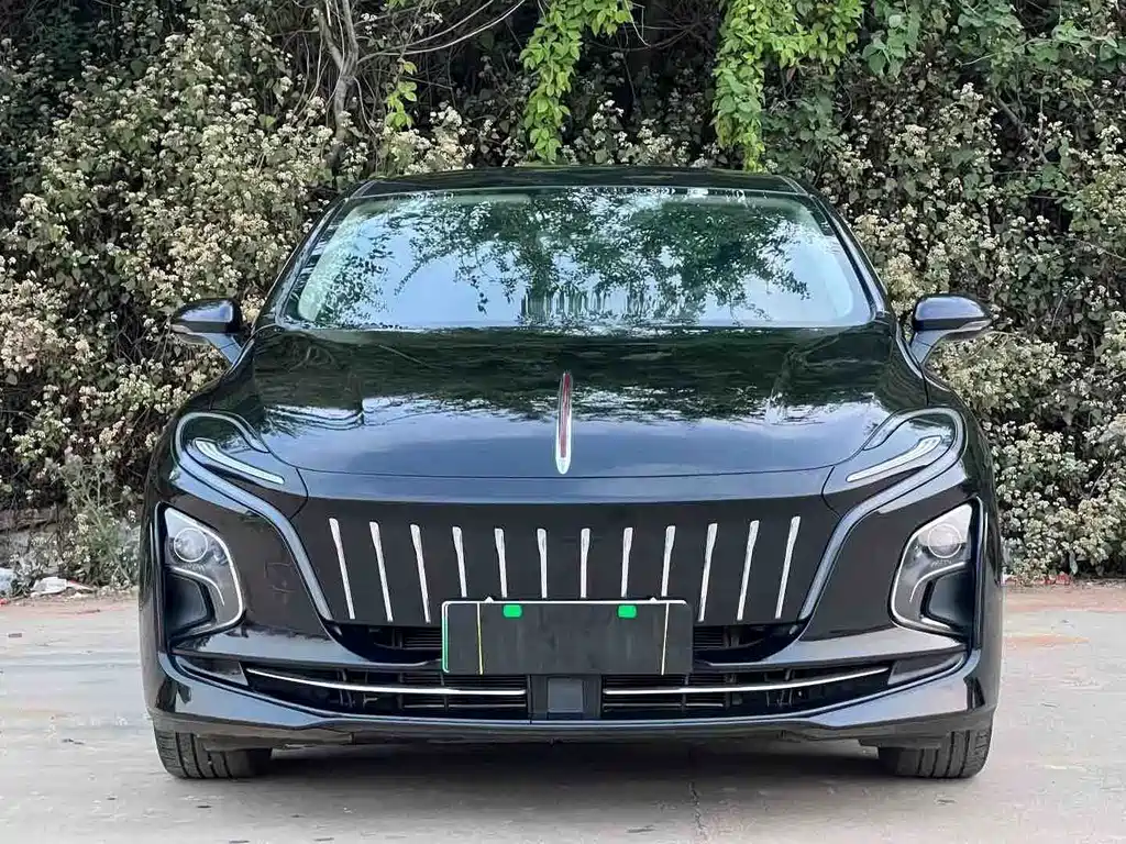 Hongqi Hongqi E-QM5 — миниатюра 2