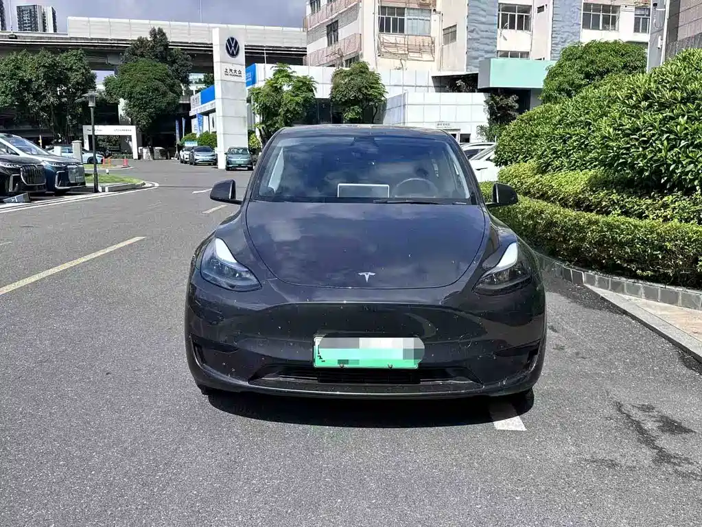 Tesla Model Y — миниатюра 3