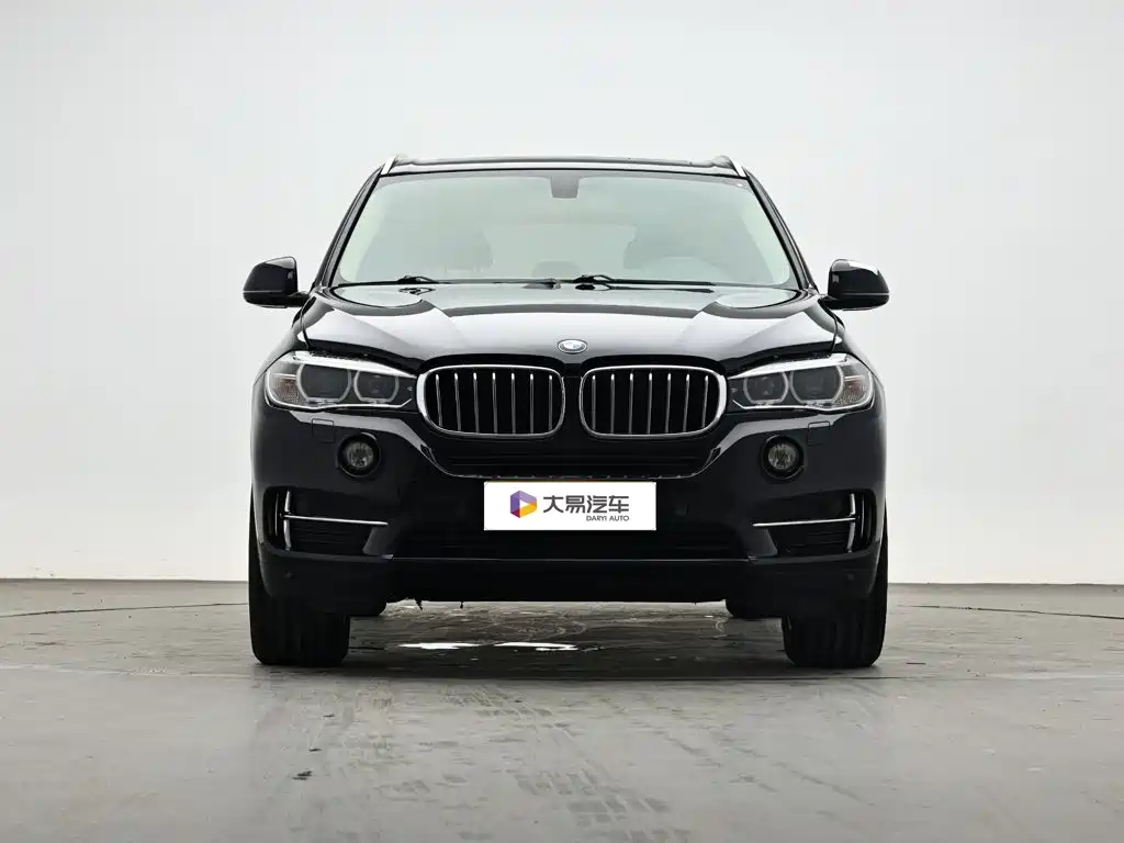 BMW X5 (Import) — миниатюра 2