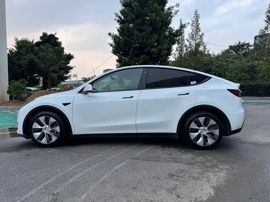 Tesla Model Y — миниатюра 10