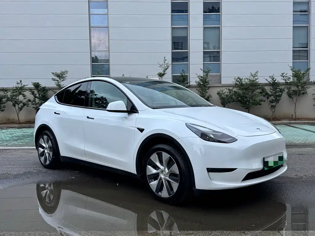 Tesla Model Y — миниатюра 3