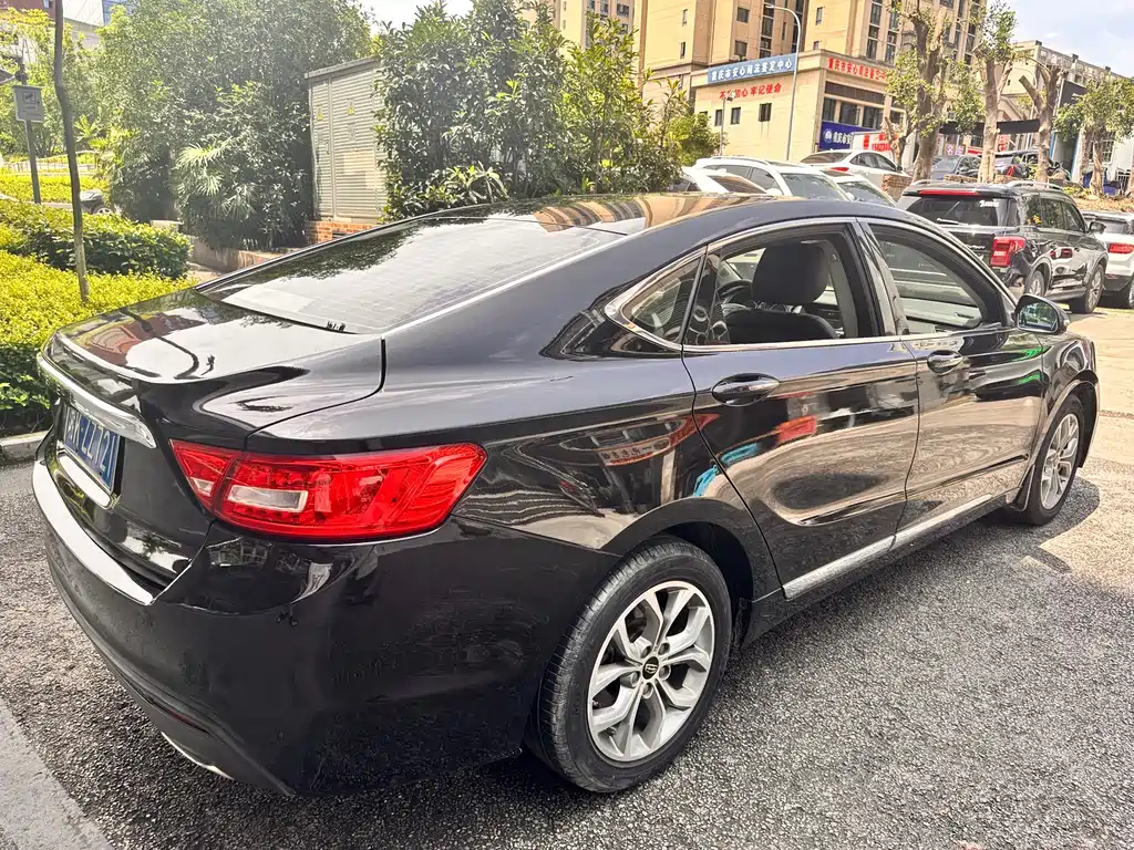 Geely Borui 2.4L Elegant Type, фото 7