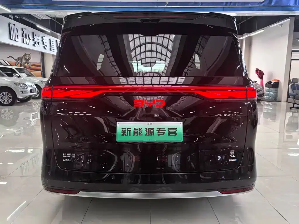 BYD Xia — миниатюра 5