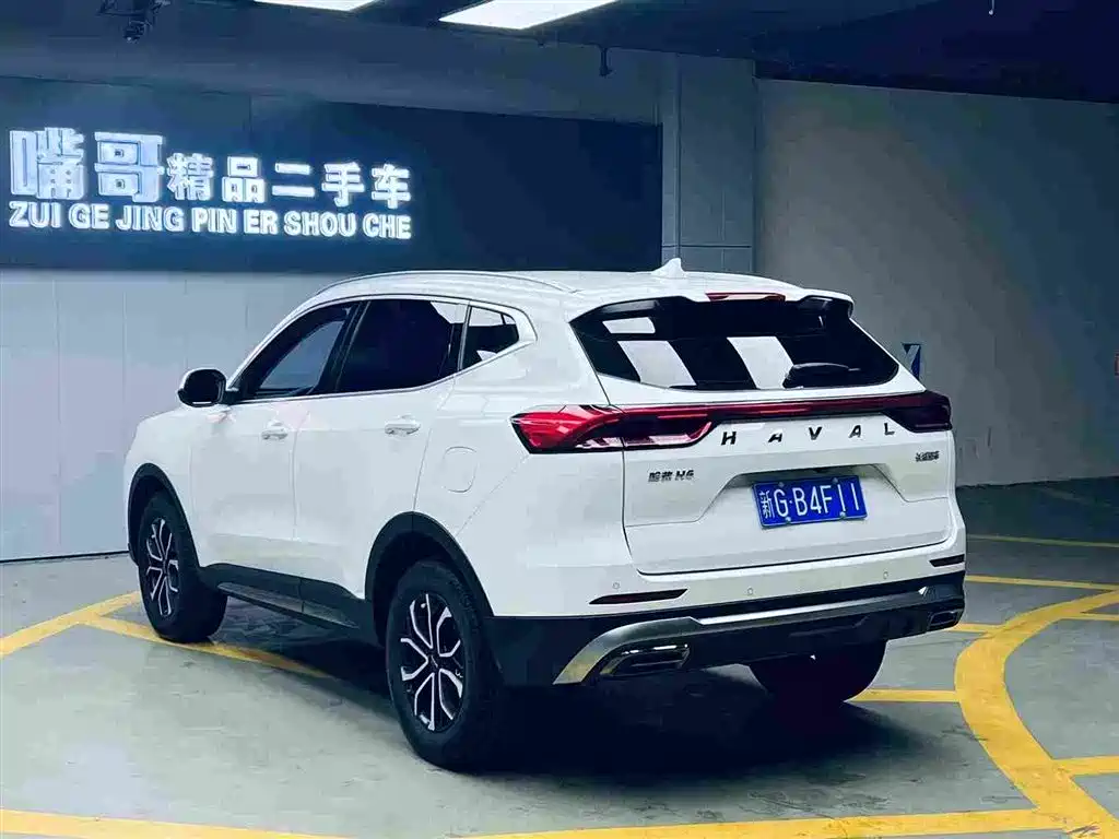HAVAL H6