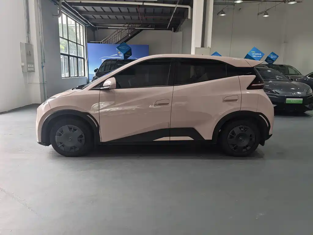 BYD Seagull 2024 305km