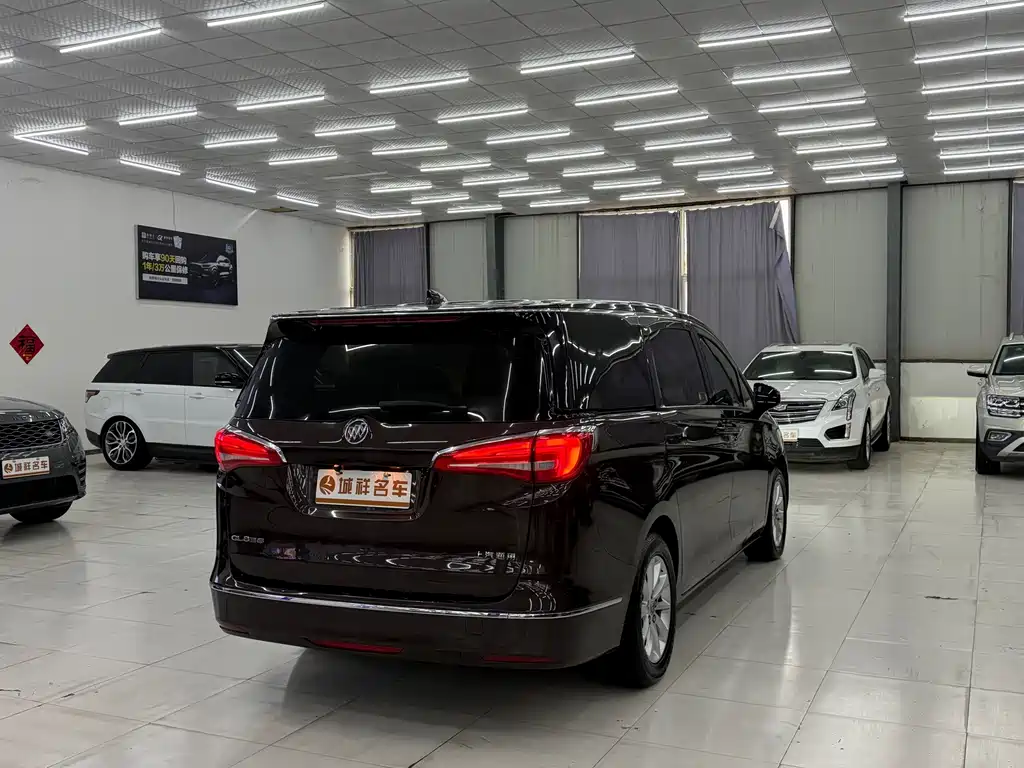 Buick GL8 — миниатюра 8