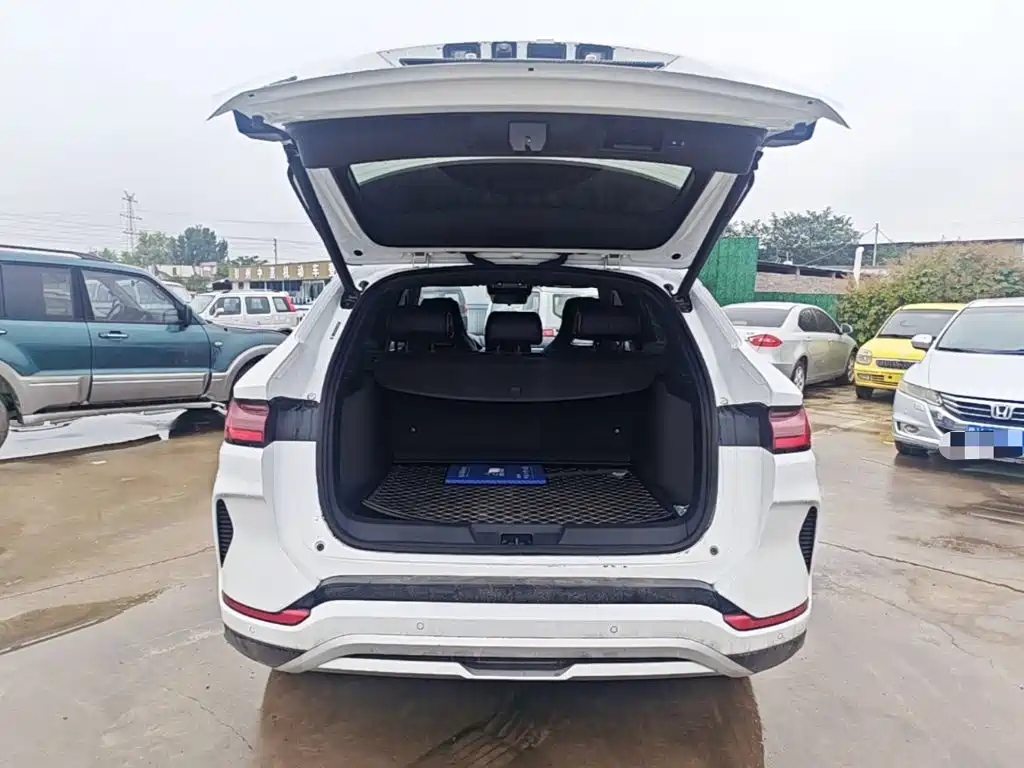 BYD PLUS New Energy — миниатюра 19