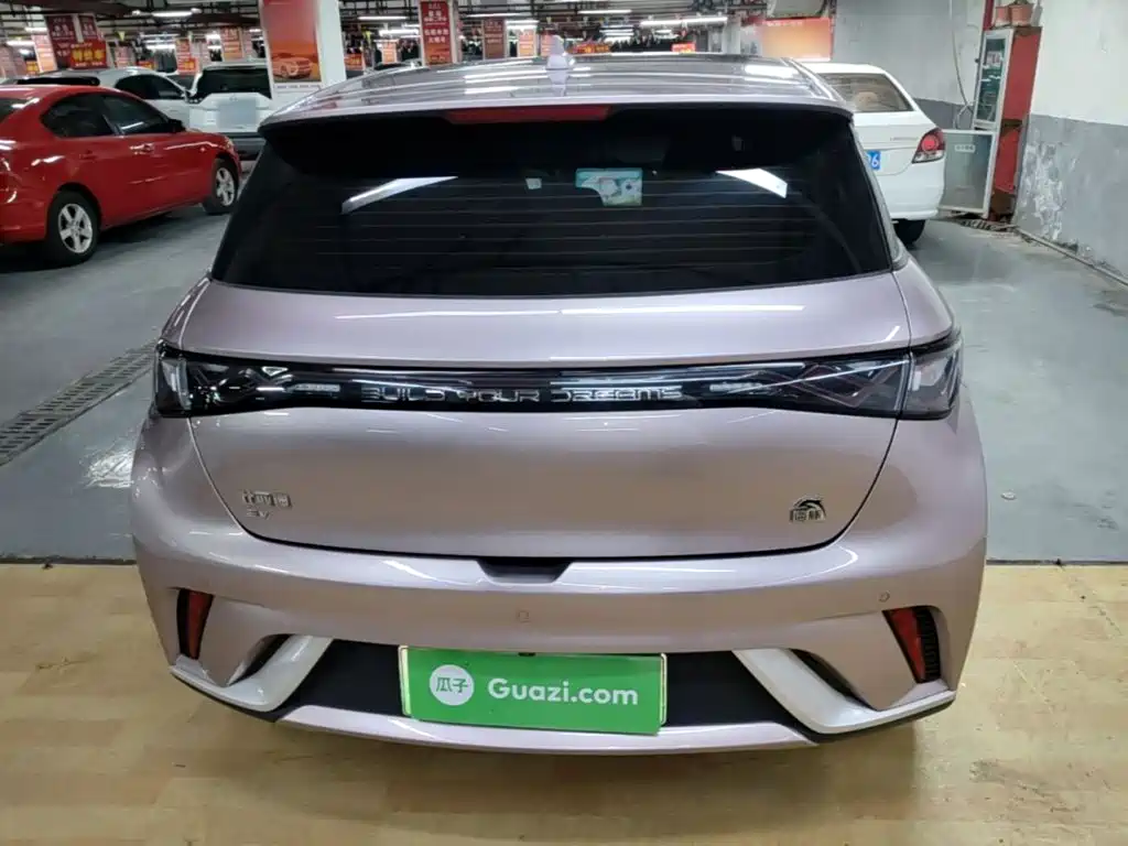 BYD Dolphin 2021 405km Fashion