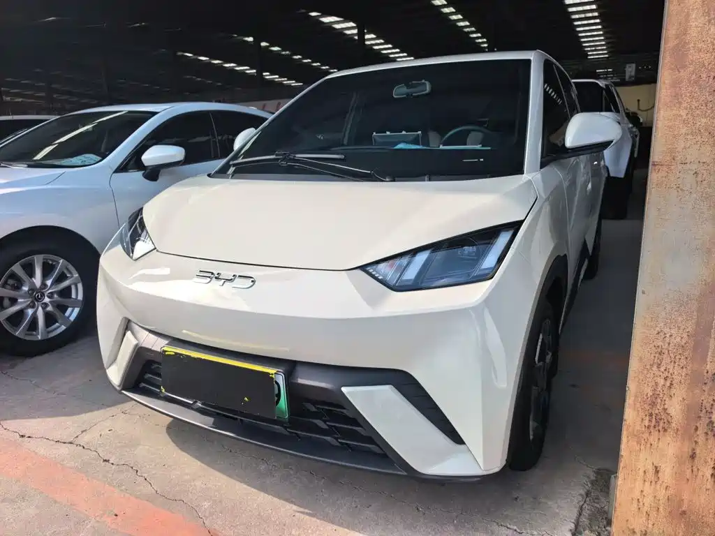 BYD Seagull