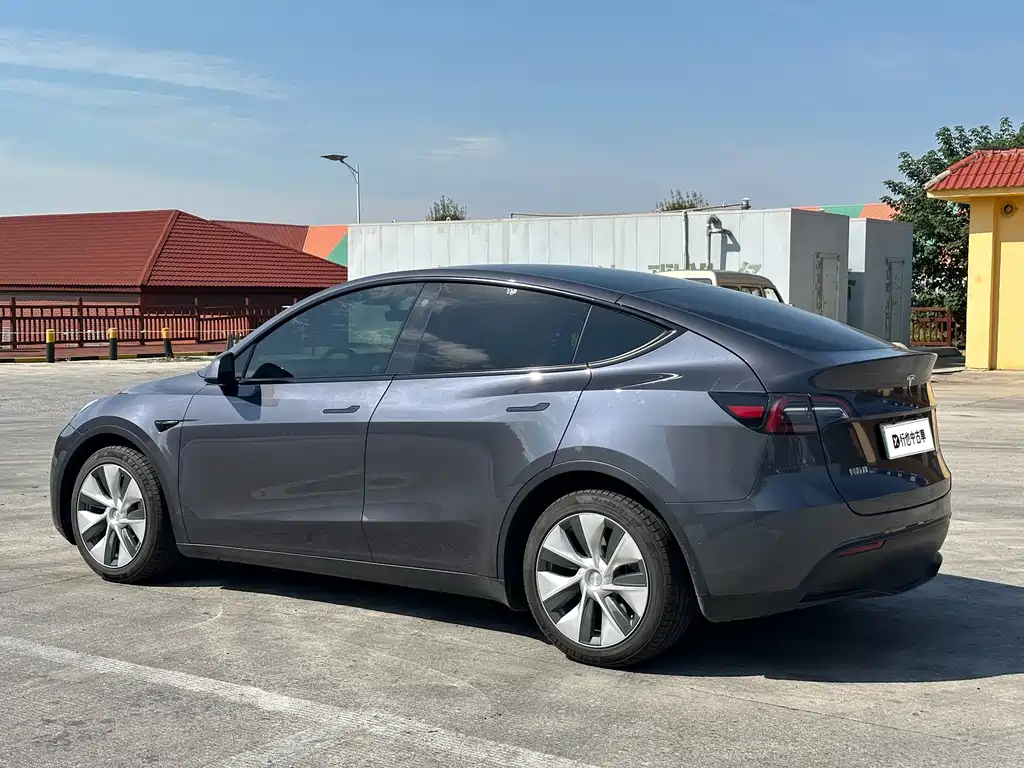 Tesla Model Y — миниатюра 4