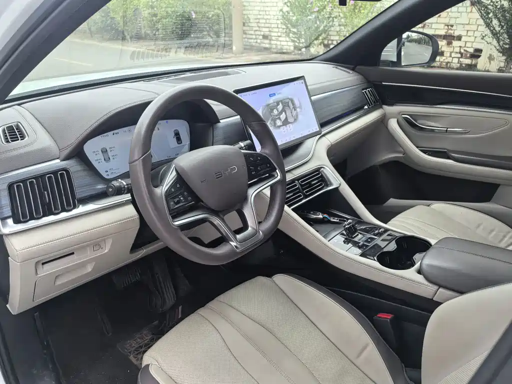 BYD PLUS New Energy — миниатюра 10