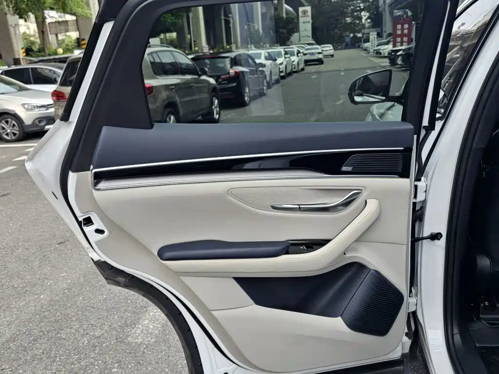 BYD PLUS New Energy — миниатюра 12