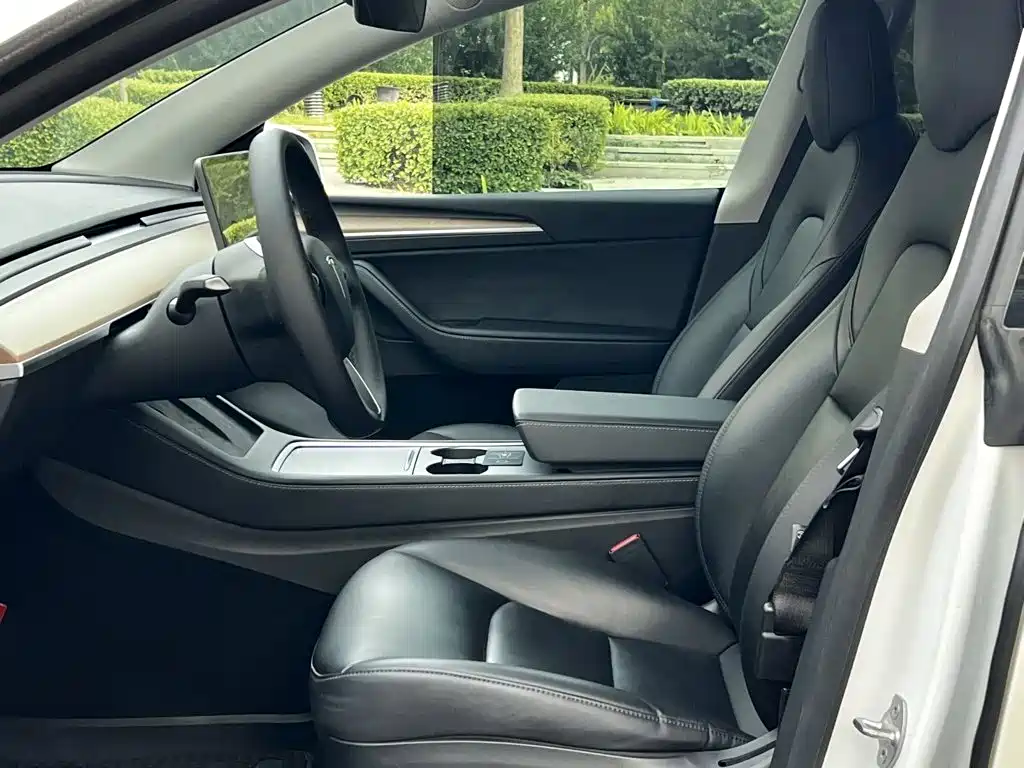 Tesla Model Y — миниатюра 8