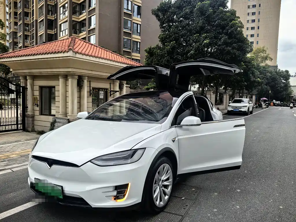 Tesla Model X 2017 Model X 100D