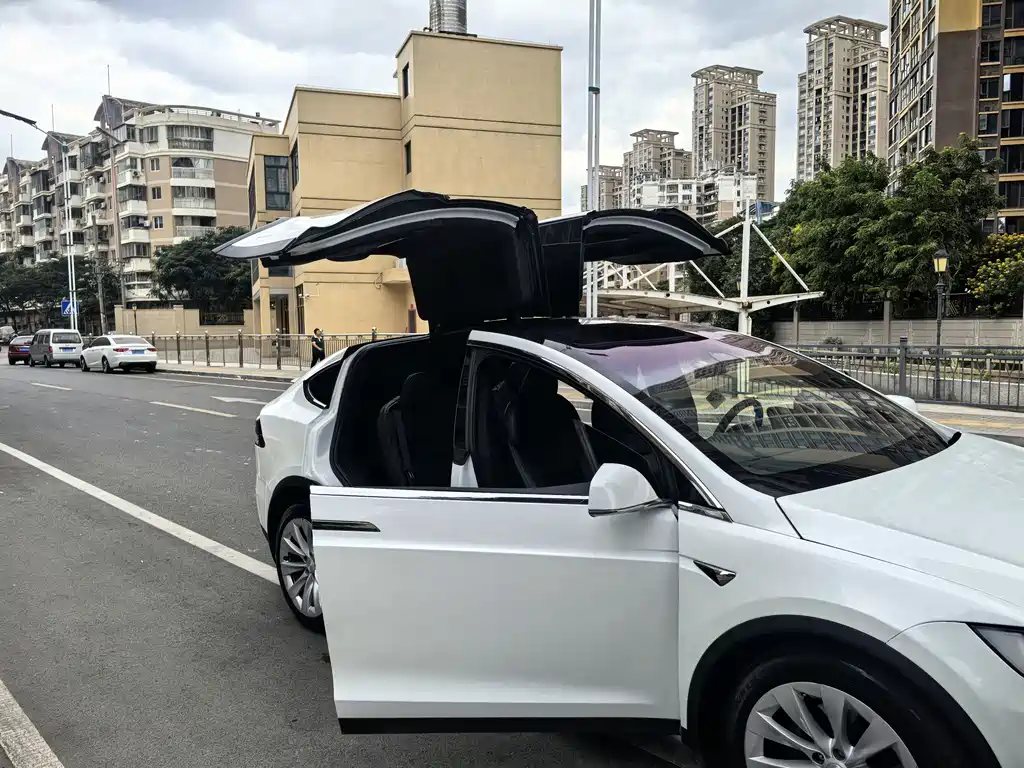 Tesla Model X 2017 Model X 100D