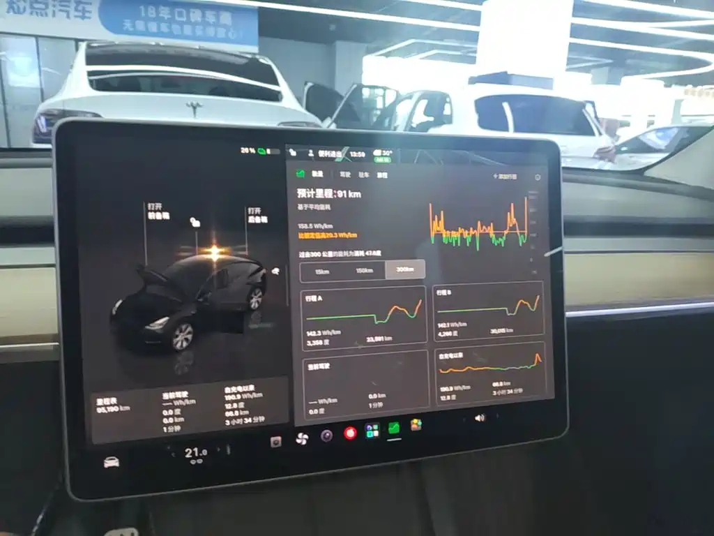 Tesla Model Y — миниатюра 12