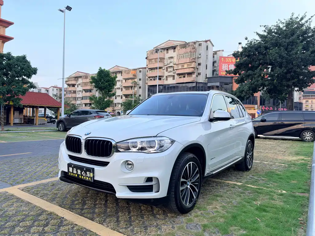 BMW X5 (Import) — миниатюра 3