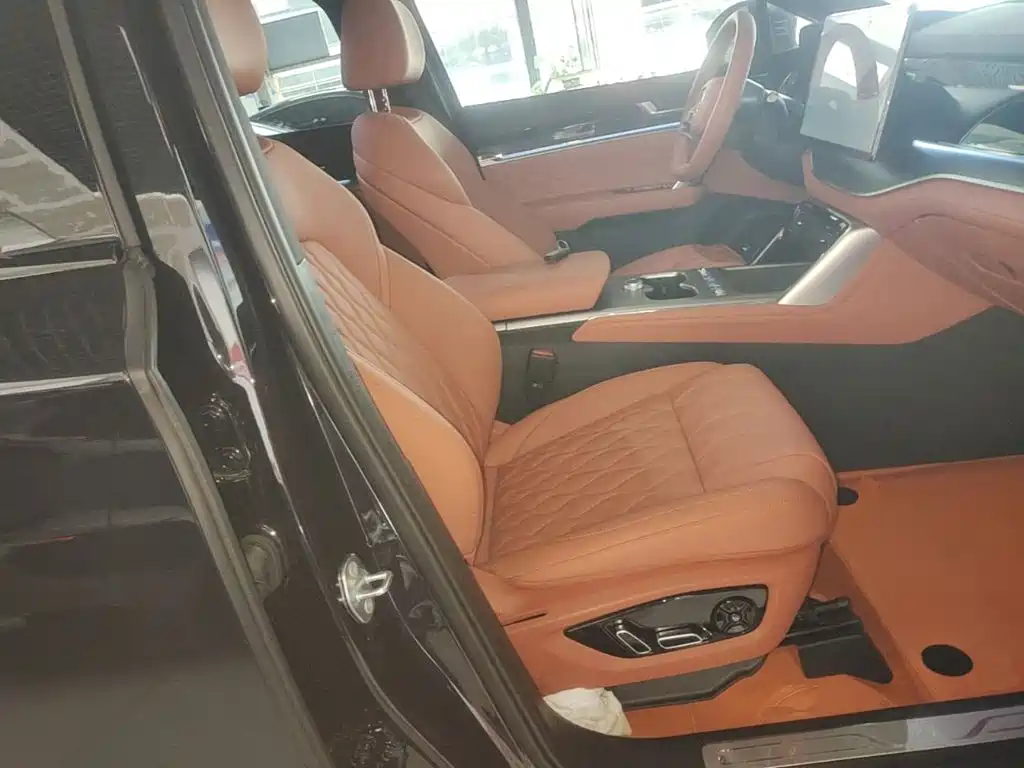 BYD Tang New Energy — миниатюра 25