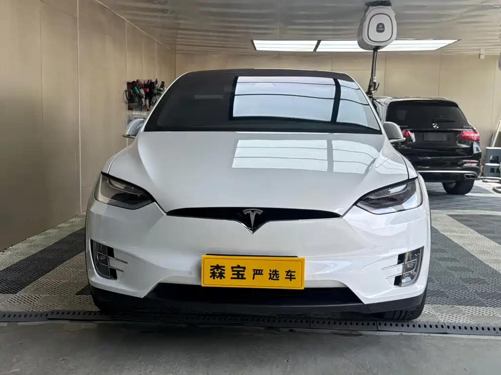 Tesla Model X 2017 Model X 100D