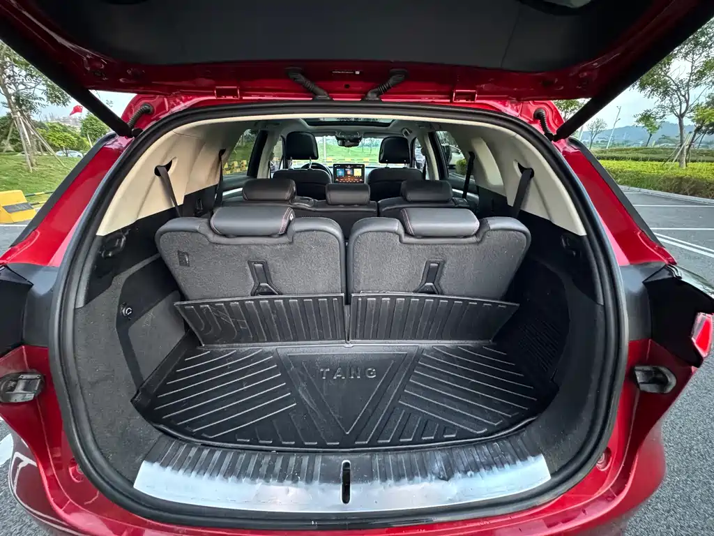 BYD Tang New Energy — миниатюра 31