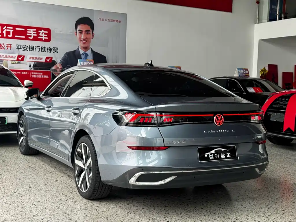 Volkswagen Lamando — миниатюра 15