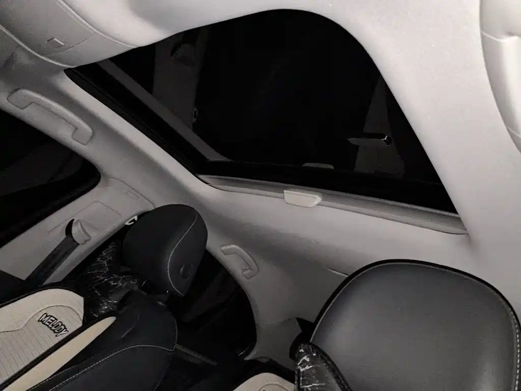 Volkswagen Lamando — миниатюра 14