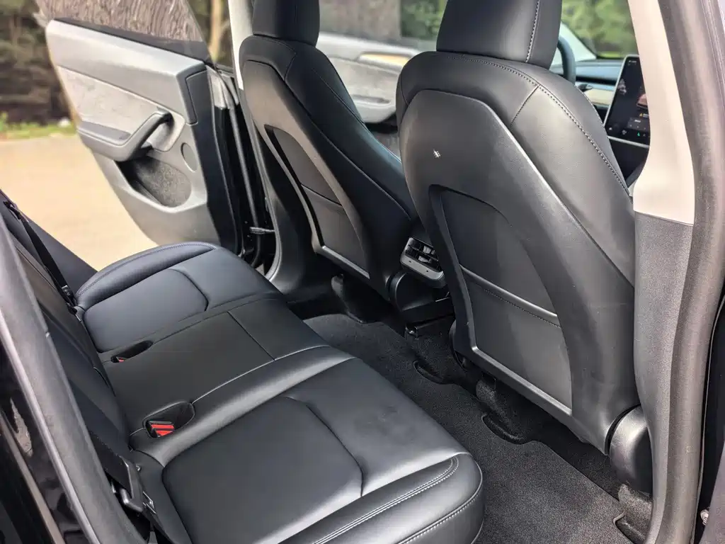 Tesla Model Y — миниатюра 10