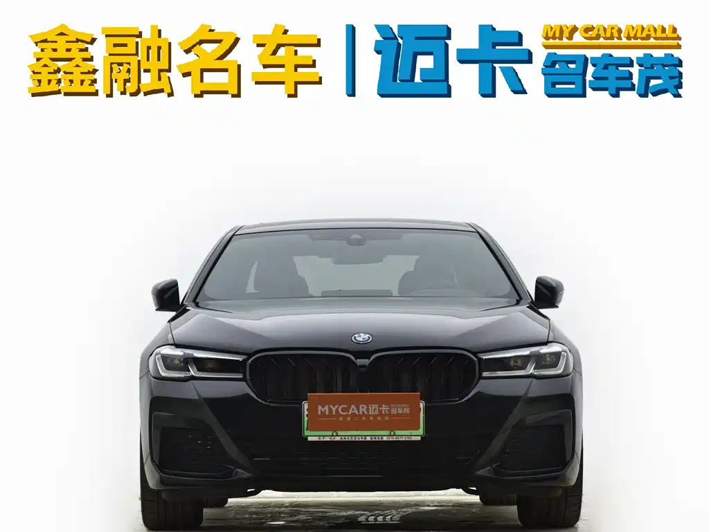 BMW 5 SERIES NEW ENERGY