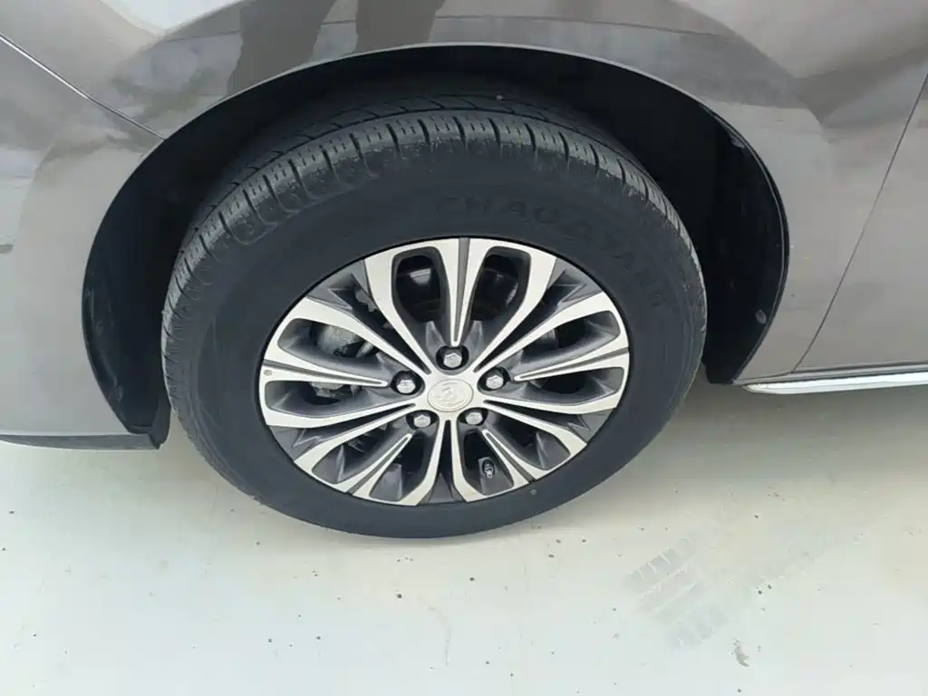 Buick GL8 — миниатюра 23