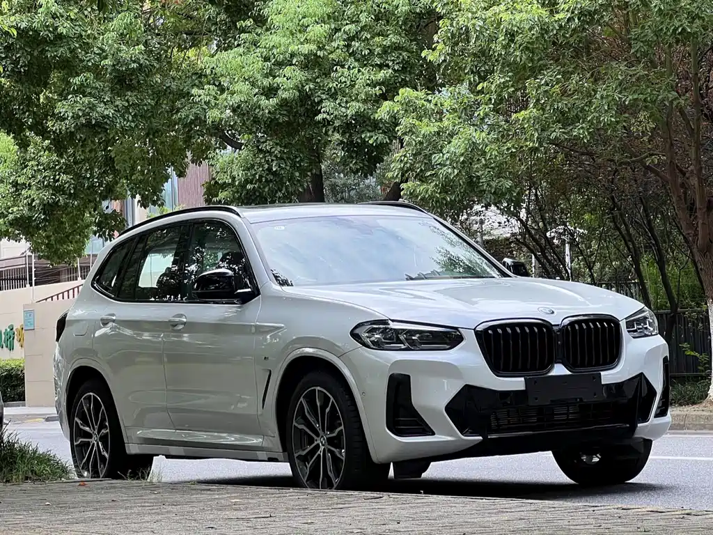 BMW X3 — миниатюра 3
