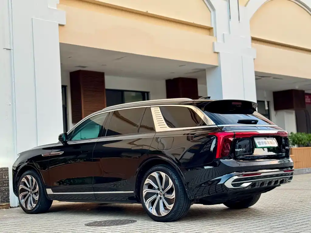 Hongqi Hongqi E-HS9 — миниатюра 20