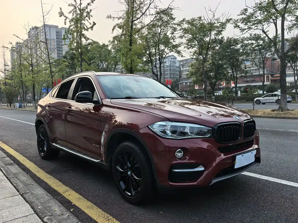 BMW X6 — миниатюра 3