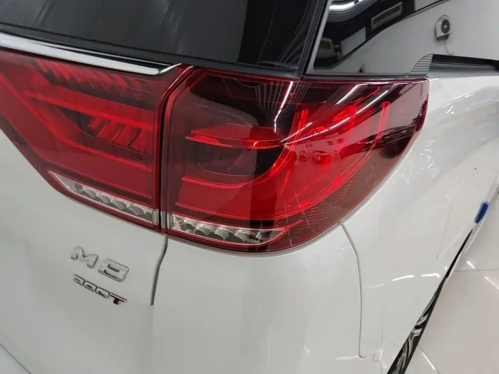GAC Motor Trumpchi M8 — миниатюра 8