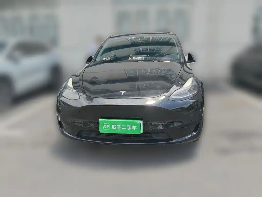 Tesla Model Y — миниатюра 24