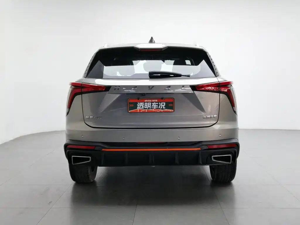 Haval Shenshou — миниатюра 4