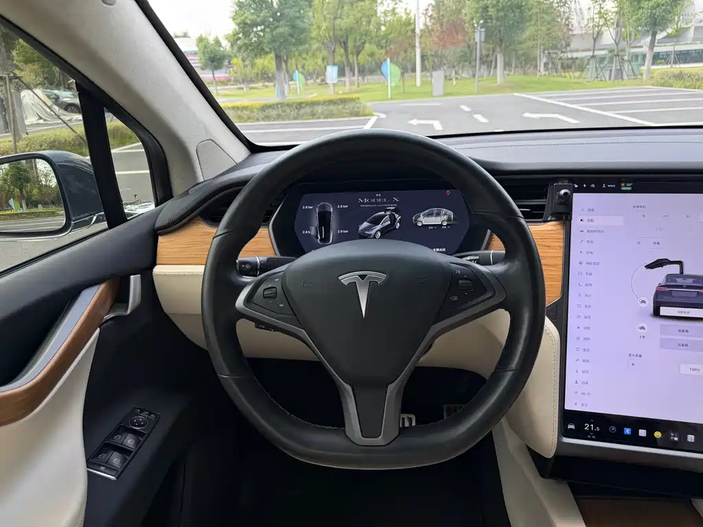 Tesla Model X — миниатюра 12