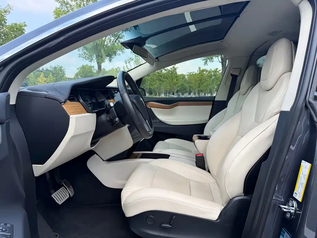 Tesla Model X — миниатюра 8