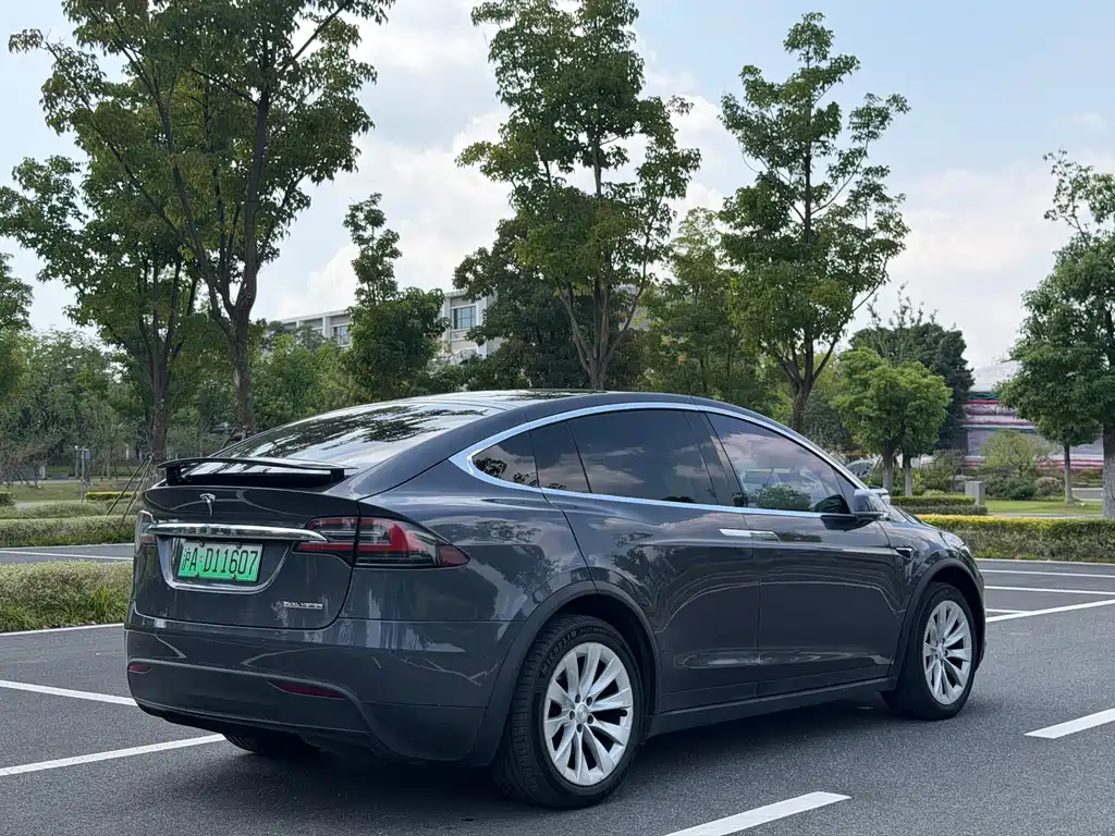 Tesla Model X — миниатюра 21