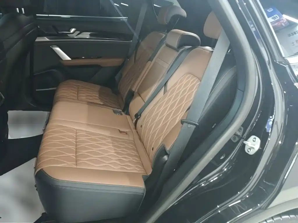 BYD Tang New Energy — миниатюра 17