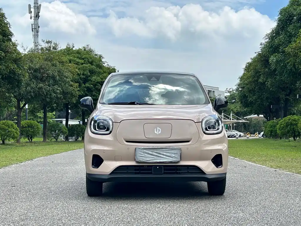 Leapmotor T03 2021 400 Luxury