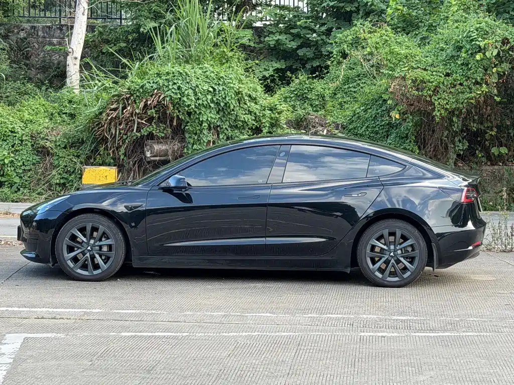 Tesla Model 3 — миниатюра 11