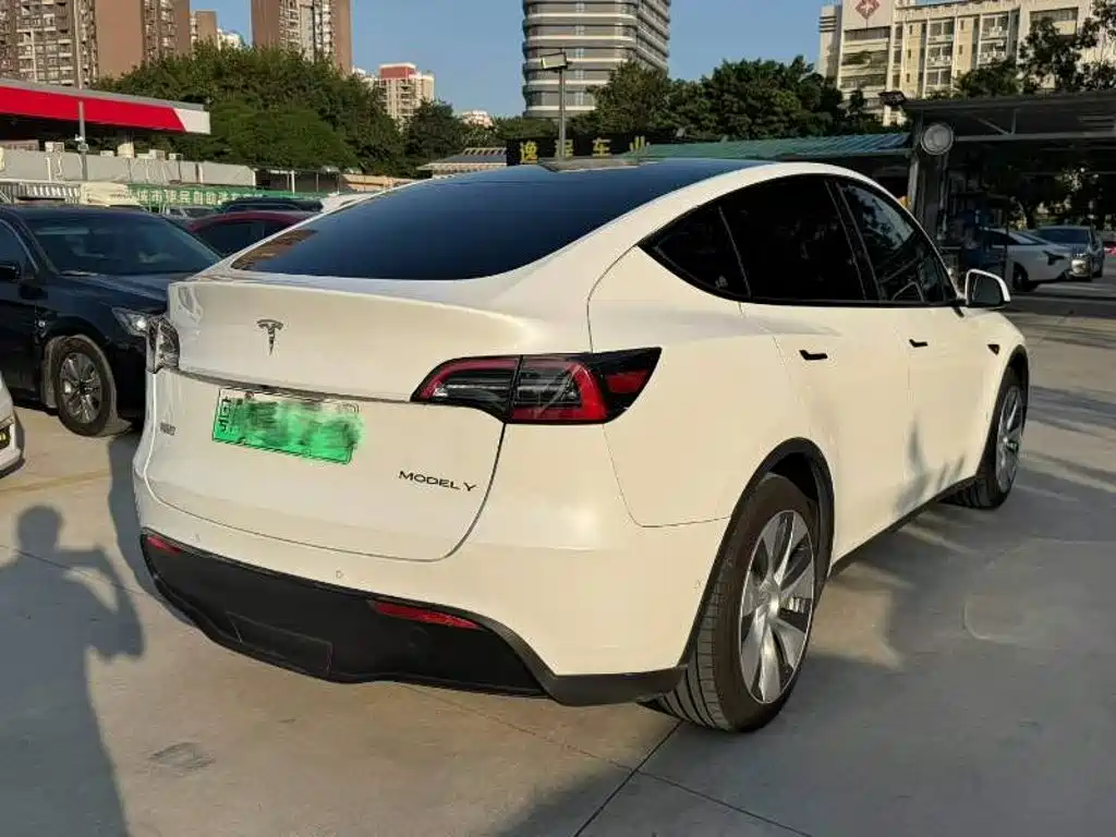 Tesla Model Y — миниатюра 6