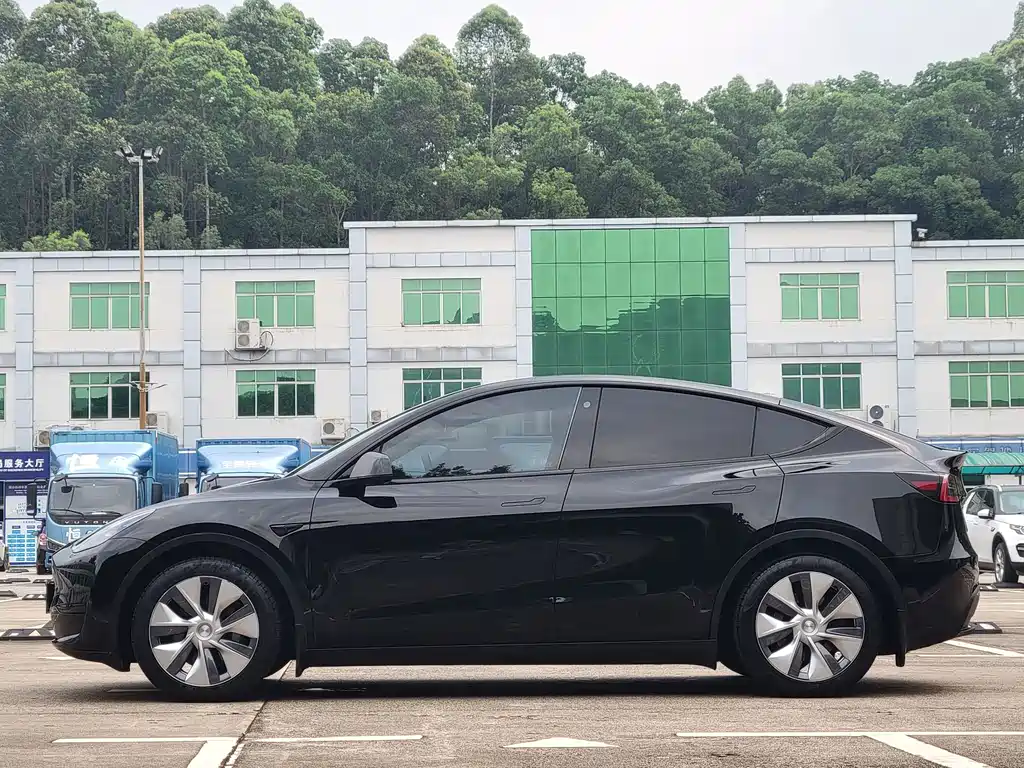Tesla Model Y — миниатюра 7