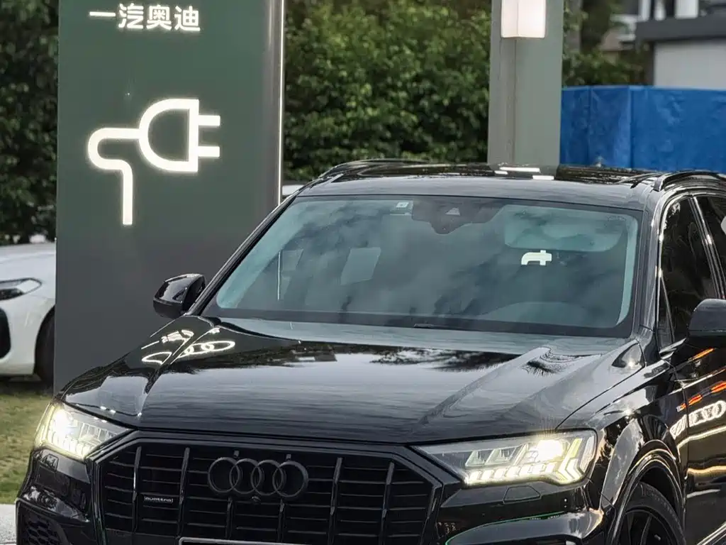 Audi Q7 — миниатюра 5