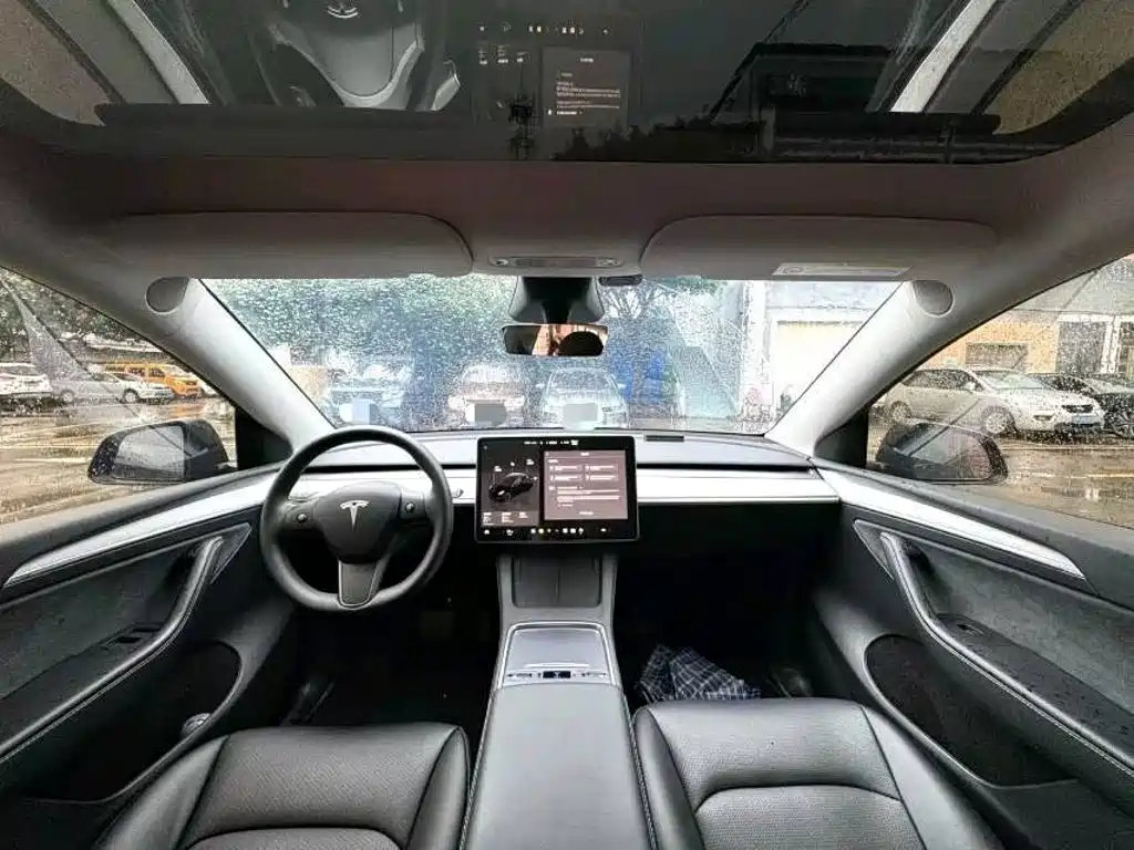 Tesla Model Y — миниатюра 4