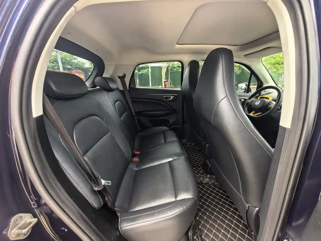 Leapmotor T03 2020 400 Luxury