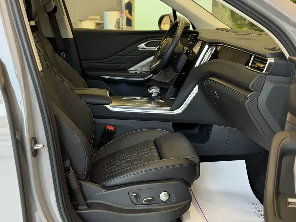 Hongqi Hongqi HS7 PHEV — миниатюра 7