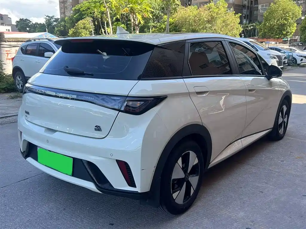 BYD Dolphin 2023 420km Fashion